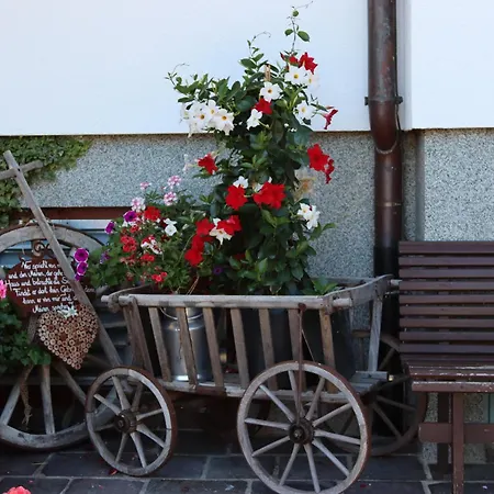 Ξενοδοχείο Stoanerhof 3*