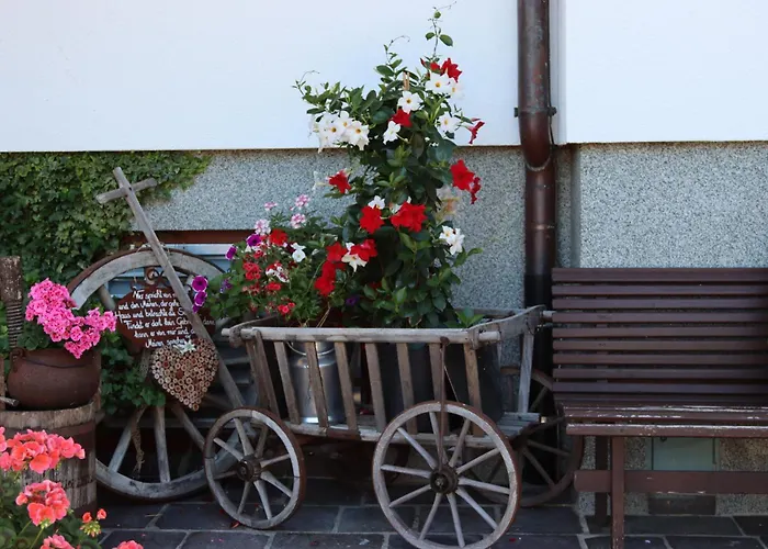 מלון Stoanerhof 3*