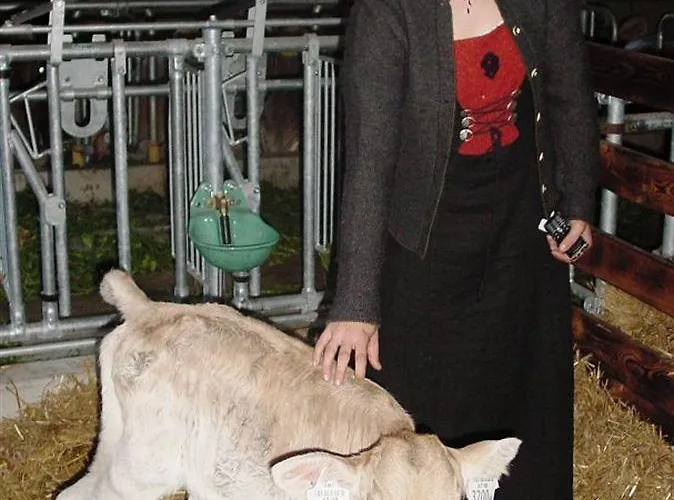 Stoanerhof מלון 3*